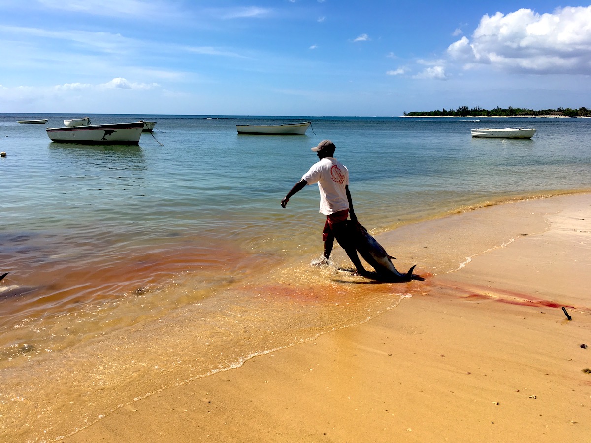 mauritius4