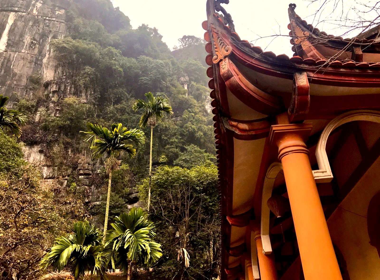 vietnam3 tempel im urwald